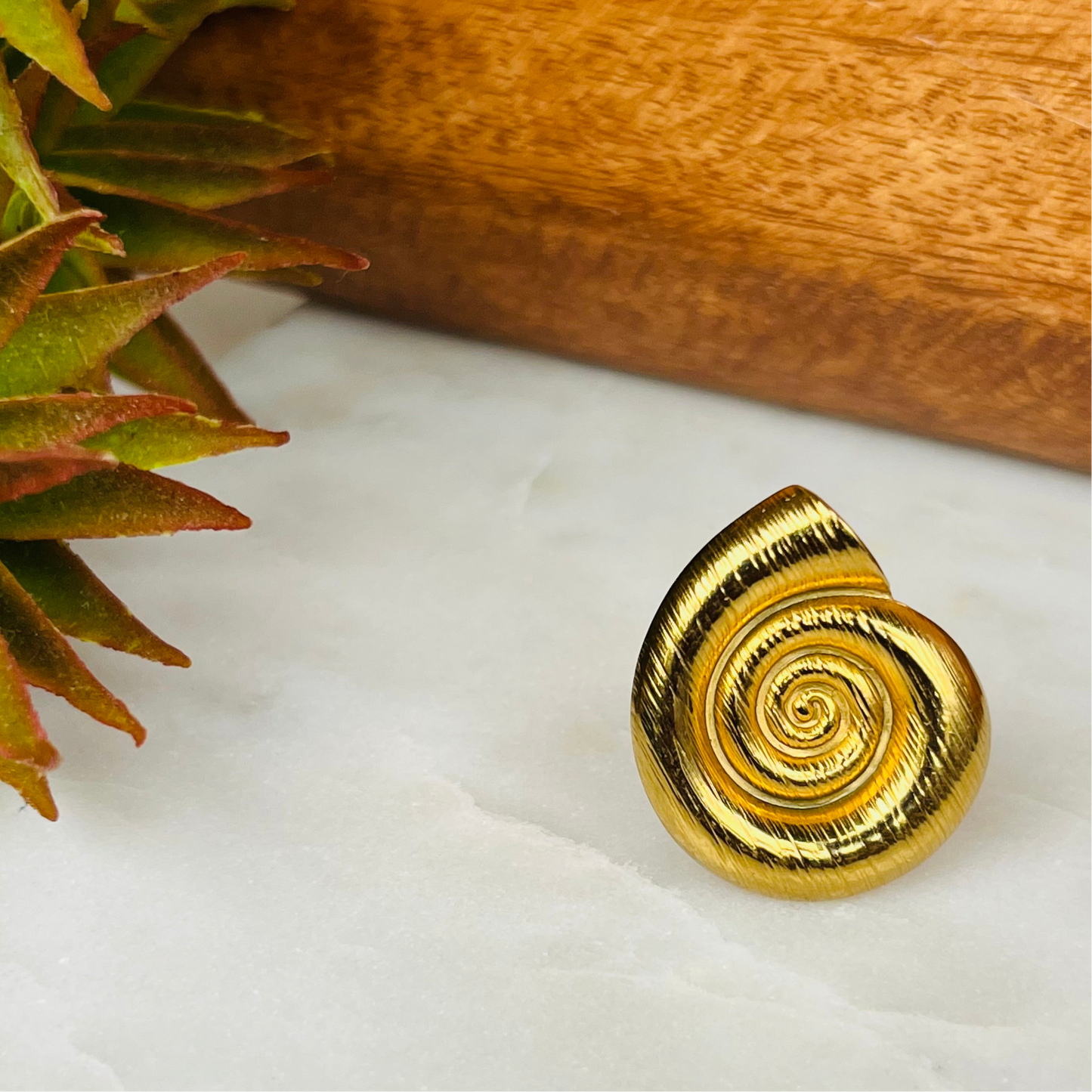 Shell Ring