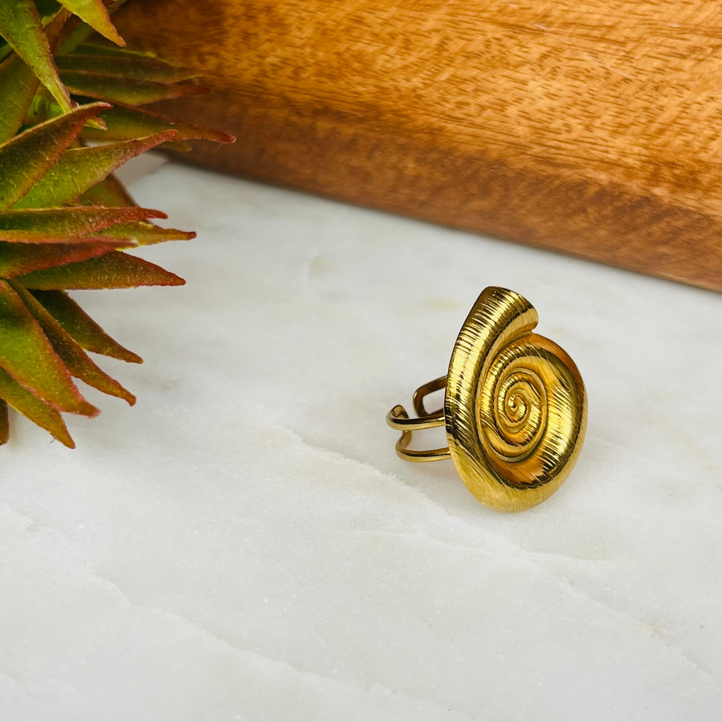 Shell Ring