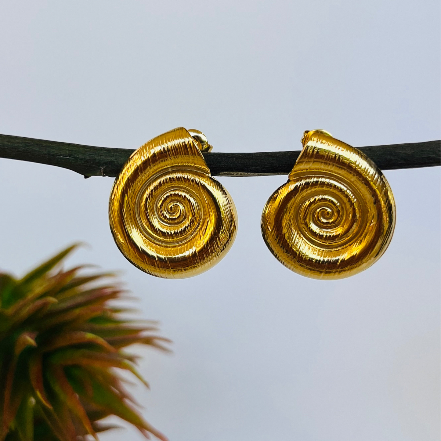 Shell Stud Earring