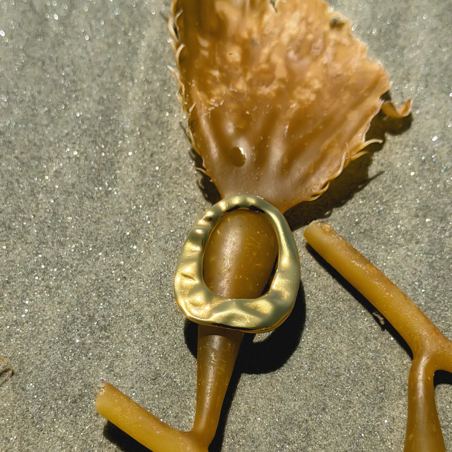 The PORTAL ring