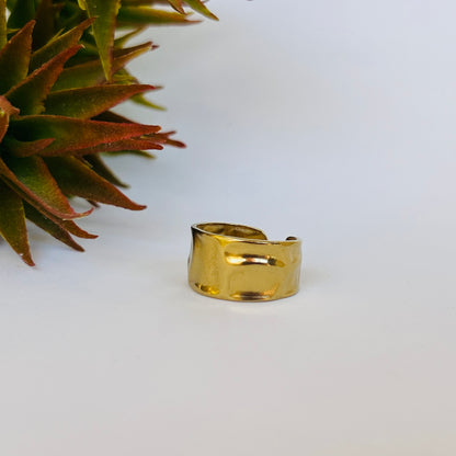 Pismo Ring